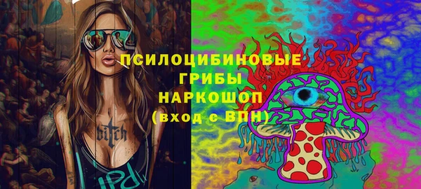 винт Алзамай